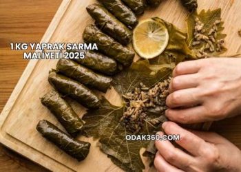 1 Kg Yaprak Sarma Maliyeti 2025