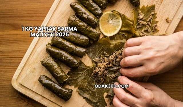 1 Kg Yaprak Sarma Maliyeti 2025