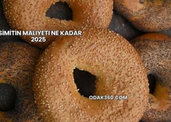 1 Simitin Maliyeti Ne Kadar 2025