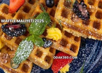 1 Waffle Maliyeti 2025