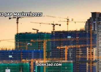 1 m2 Şap Maliyeti 2025