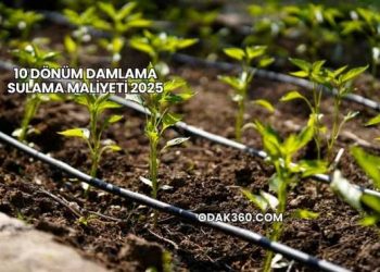 10 Dönüm Damlama Sulama Maliyeti 2025