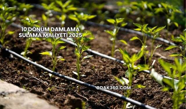 10 Dönüm Damlama Sulama Maliyeti 2025