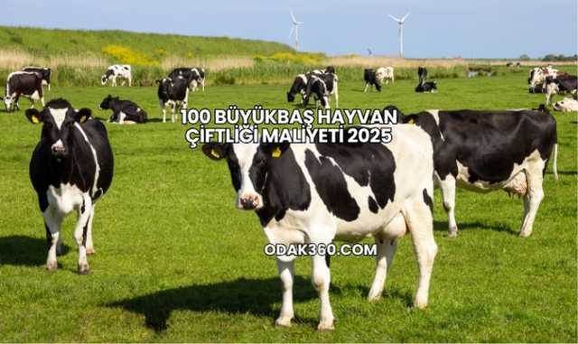 100 Büyükbaş Hayvan Çiftliği Maliyeti 2025