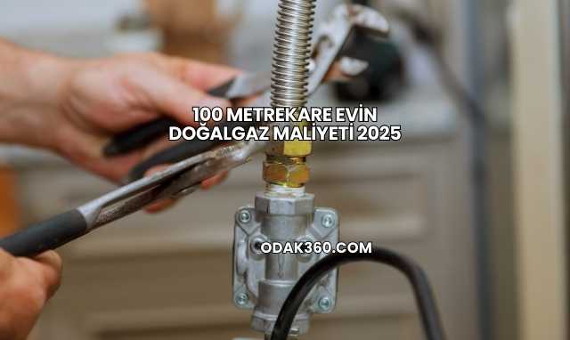100 Metrekare Evin Doğalgaz Maliyeti 2025