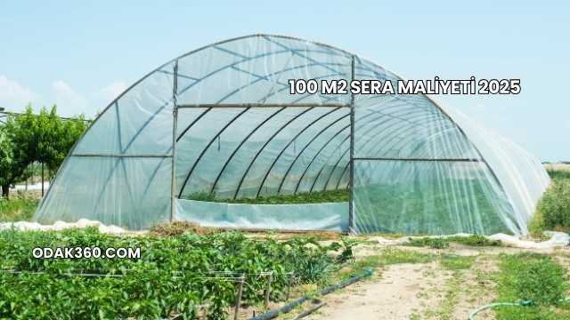 100 m2 Sera Maliyeti 2025