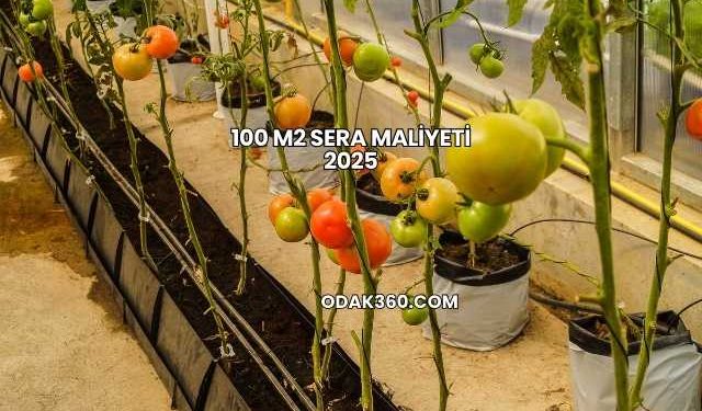 100 m2 Sera Maliyeti 2025