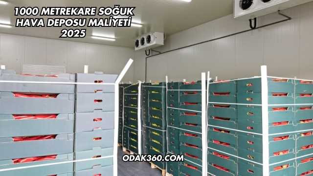 1000 Metrekare Soğuk Hava Deposu Maliyeti 2025