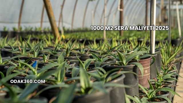 1000 m2 Sera Maliyeti 2025