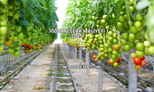 1000 m2 Sera Maliyeti 2025