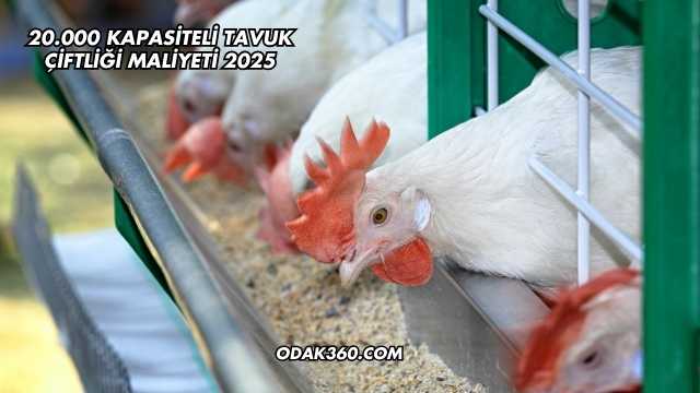 20.000 Kapasiteli Tavuk Çiftliği Maliyeti 2025