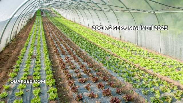 200 m2 Sera Maliyeti 2025