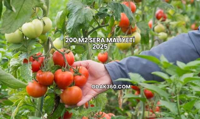 200 m2 Sera Maliyeti 2025