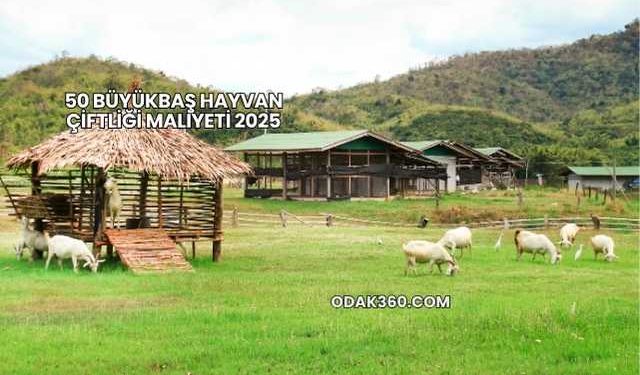 50 Büyükbaş Hayvan Çiftliği Maliyeti 2025