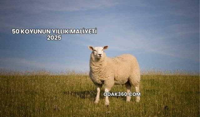 50 Koyunun Yıllık Maliyeti 2025