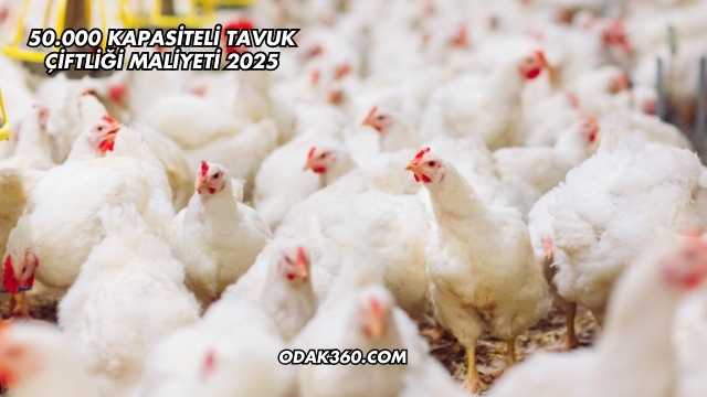 50.000 Kapasiteli Tavuk Çiftliği Maliyeti 2025