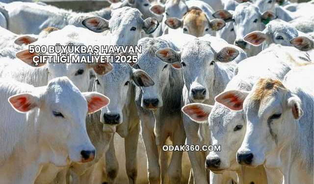 500 Büyükbaş Hayvan Çiftliği Maliyeti 2025