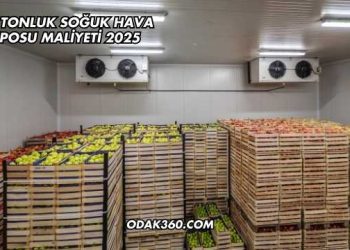 500 Tonluk Soğuk Hava Deposu Maliyeti 2025