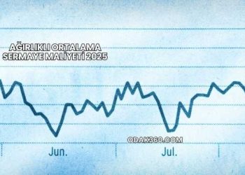 Ağırlıklı Ortalama Sermaye Maliyeti 2025