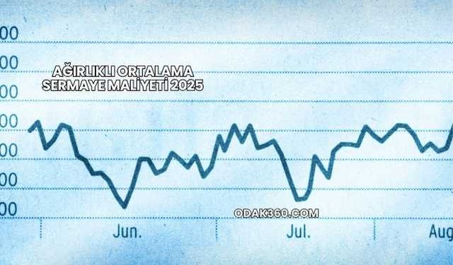 Ağırlıklı Ortalama Sermaye Maliyeti 2025