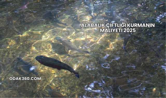 Alabalık Çiftliği Kurmanın Maliyeti 2025