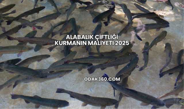 Alabalık Çiftliği Kurmanın Maliyeti 2025