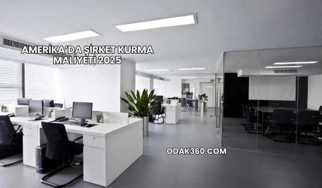 Amerika’da Şirket Kurma Maliyeti 2025