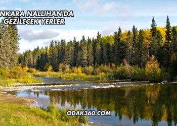 Ankara Nallıhan'da Gezilecek Yerler