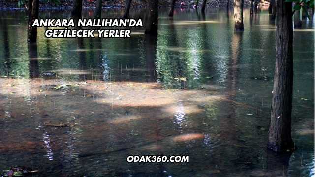 Ankara Nallıhan'da Gezilecek Yerler