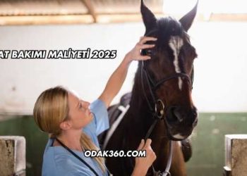 At Bakımı Maliyeti 2025