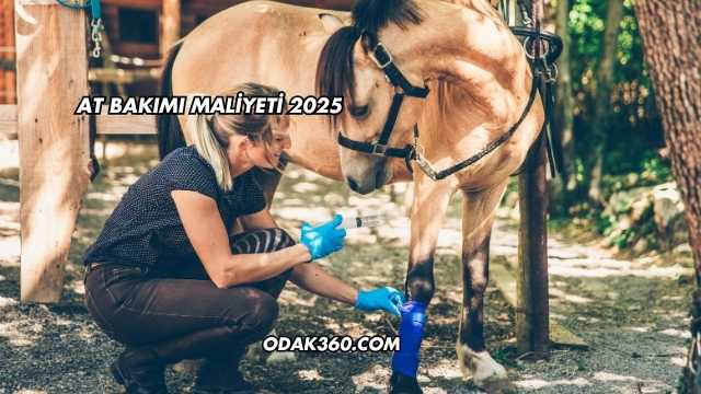 At Bakımı Maliyeti 2025