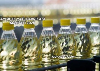 Ayçiçek Yağı Fabrikası Maliyeti 2025