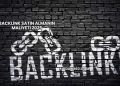Backlink Satın Almanın Maliyeti 2025