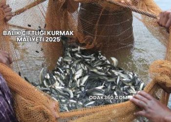 Balık Çiftliği Kurmak Maliyeti 2025