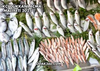 Balıkçı Dükkanı Açma Maliyeti 2025