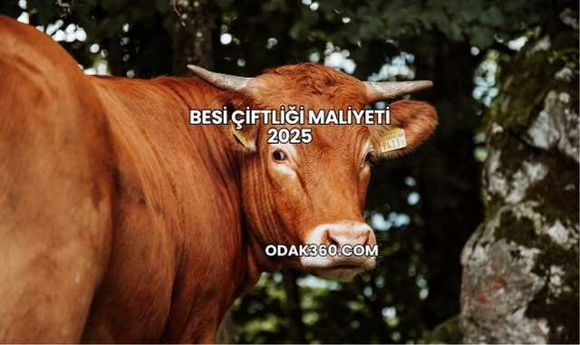 Besi Çiftliği Maliyeti 2025