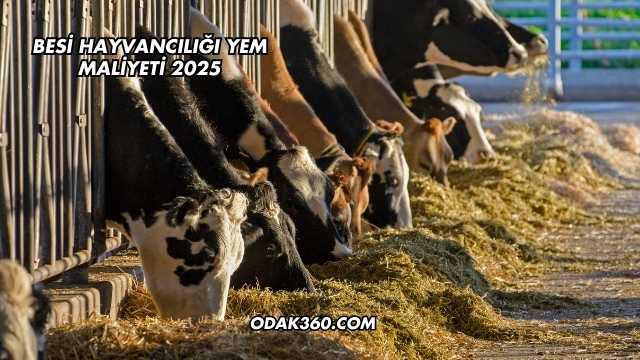 Besi Hayvancılığı Yem Maliyeti 2025