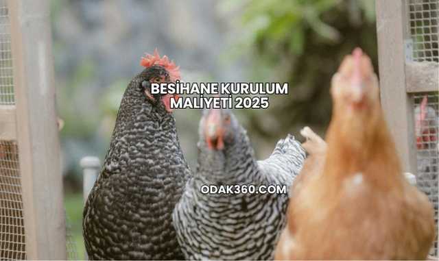 Besihane Kurulum Maliyeti 2025
