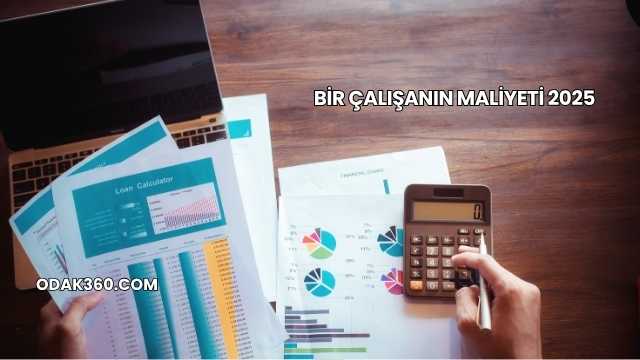 Bir Çalışanın Maliyeti 2025