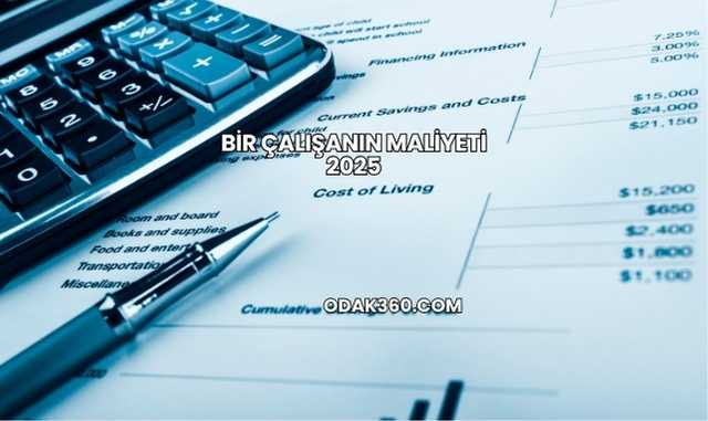 Bir Çalışanın Maliyeti 2025
