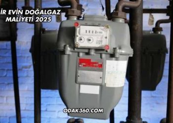 Bir Evin Doğalgaz Maliyeti 2025
