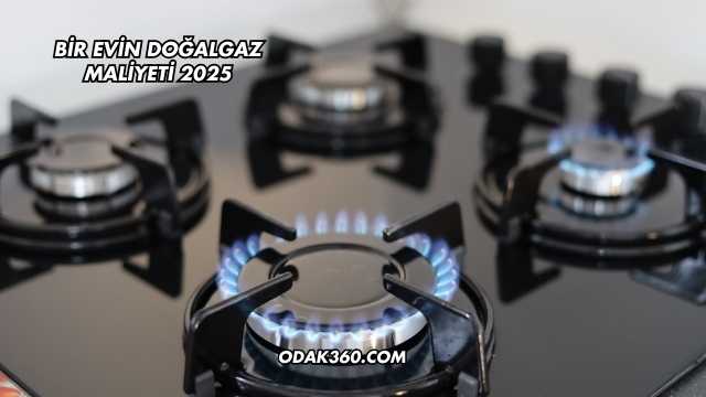 Bir Evin Doğalgaz Maliyeti 2025