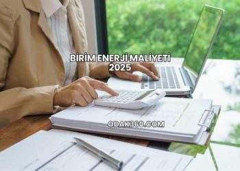Birim Enerji Maliyeti 2025