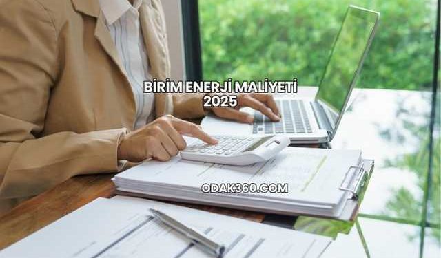 Birim Enerji Maliyeti 2025
