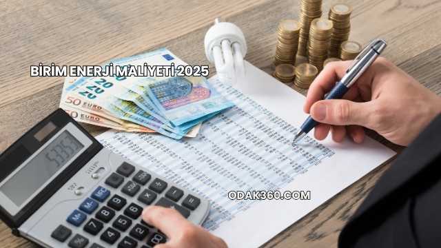 Birim Enerji Maliyeti 2025