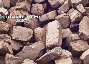 Briket Fabrikası Maliyeti 2025