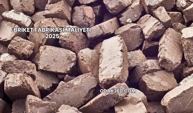Briket Fabrikası Maliyeti 2025