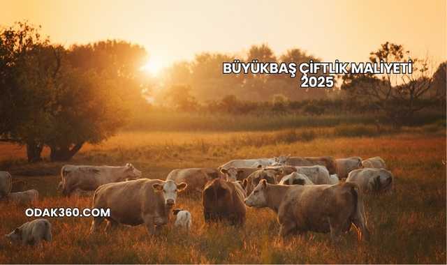 Büyükbaş Çiftlik Maliyeti 2025