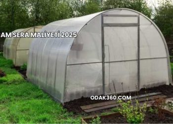 Cam Sera Maliyeti 2025