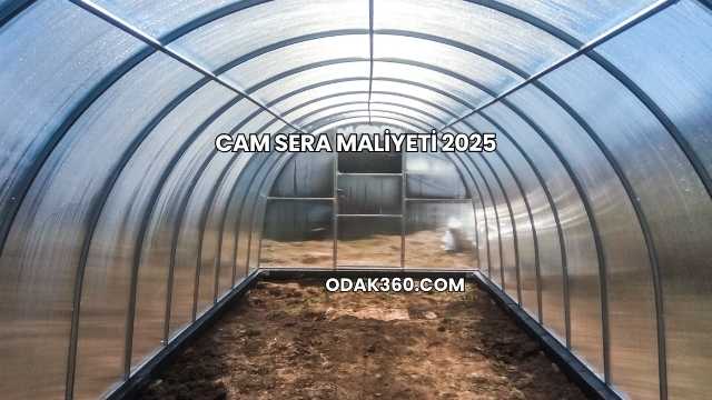Cam Sera Maliyeti 2025